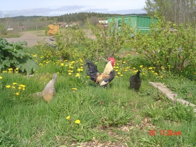 bilder-2006-2007-051.jpg