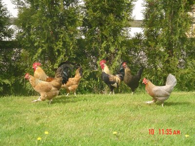 bilder-2006-2007-054.jpg