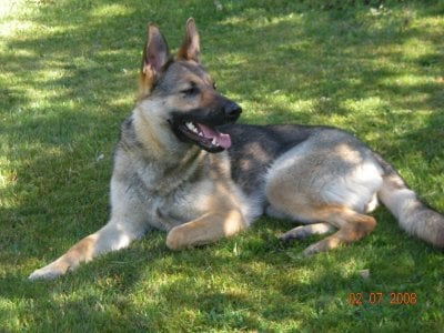 kozmoz-007.jpg