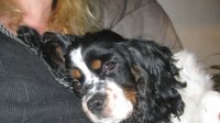agnes-o-jag-009.jpg