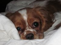 jul-2010-038.jpg