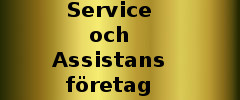 /service-o-assistans.jpg