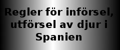 /inforselutforsel-av-djur-i-spanien.jpg