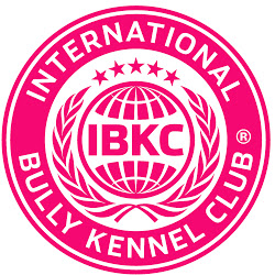 ibkc-rund.jpg
