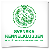 skk-logo.png