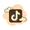 /icons8-tiktok-100-orange.png