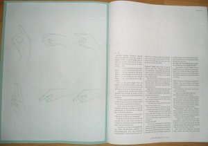 sergio-om-pallia-vardentecken-sida2.jpg