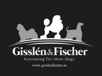/gisslen-fischer-web.jpg