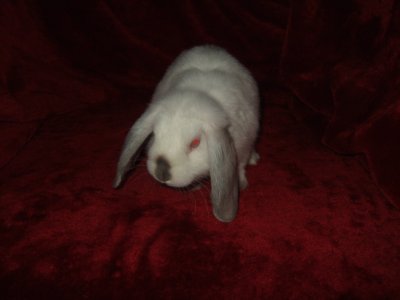 dscf9252.jpg