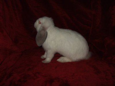 dscf9250.jpg