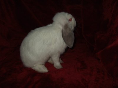 dscf9247.jpg
