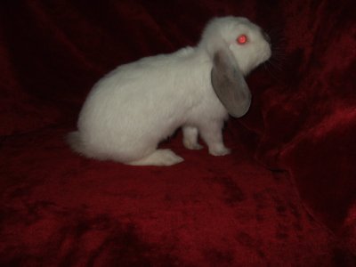 dscf9256.jpg