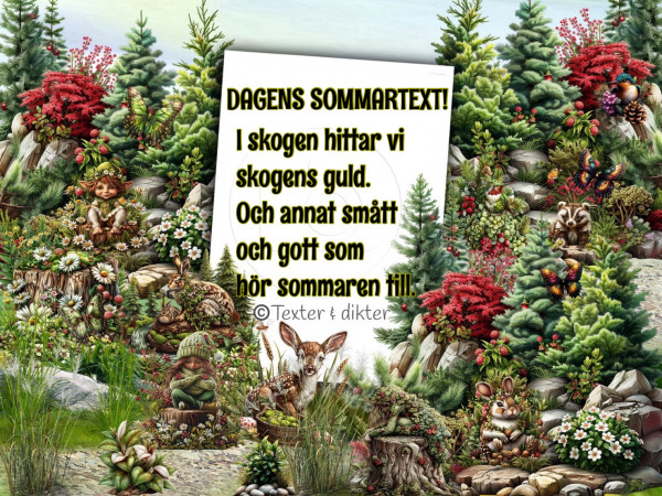 /phonto.jpg