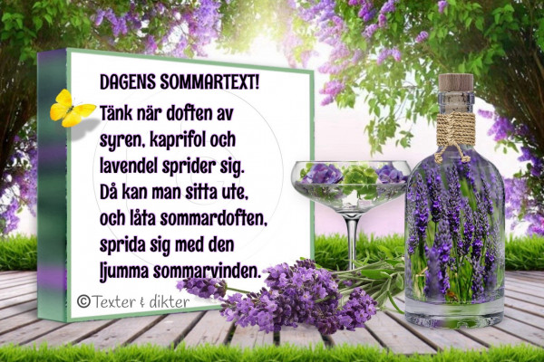 /phonto.jpg