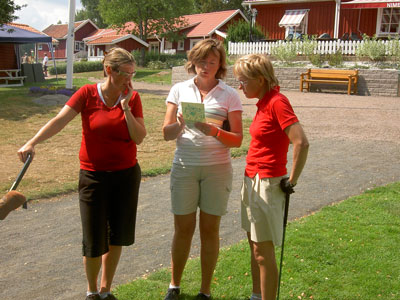 hokensas-2006-poangberaknin.jpg
