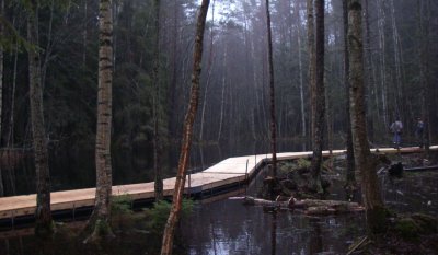 badbryggor i form av gångbro i naturområde