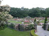 New Yorks botaniske hage