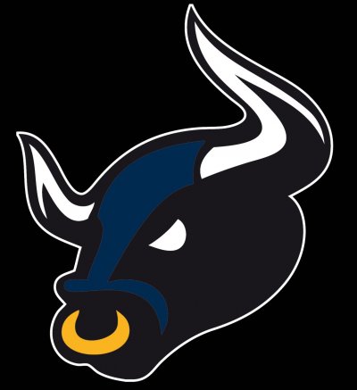 bulls-logo-web.jpg