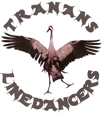 tranans-linedancers1.jpg