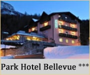 Park Hotel Bellevue