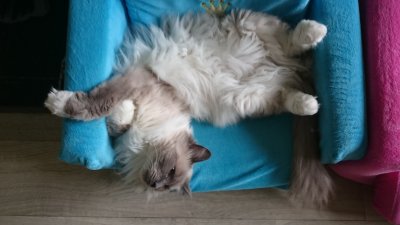 /dsc_0823.jpg