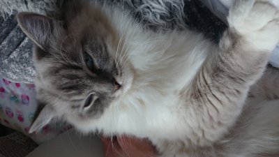 /dsc_1049.jpg