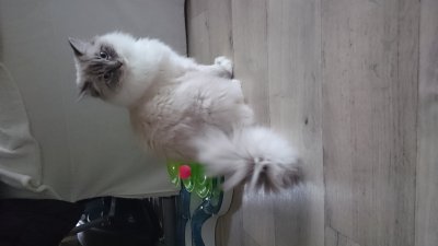 /dsc_1119.jpg