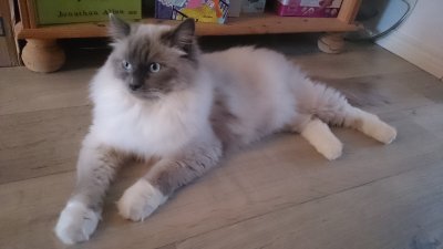 /dsc_1155.jpg