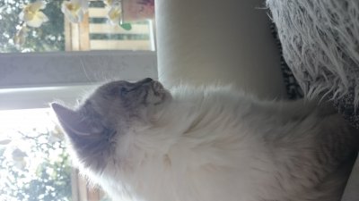 /dsc_1042.jpg