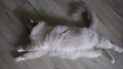 /dsc_1129.jpg