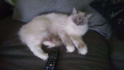 /dsc_0249.jpg