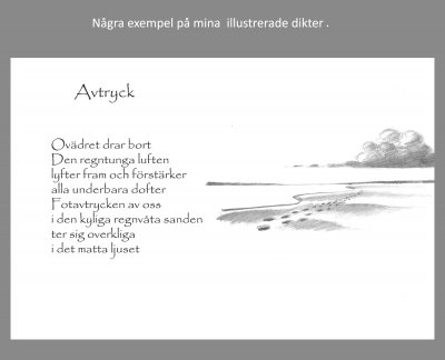 dikt1.jpg