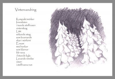 vintervandring-m-ram1.jpg