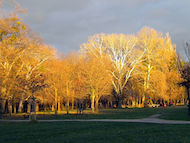 Prater