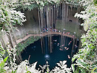 En cenote En cenote