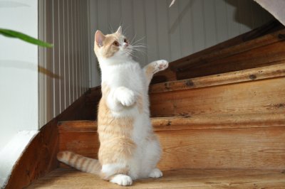 nellie-sitter.jpg