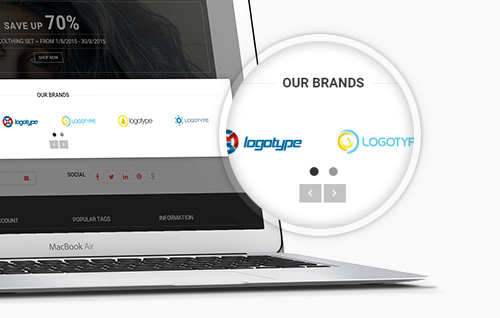 ves-brand- logo slider