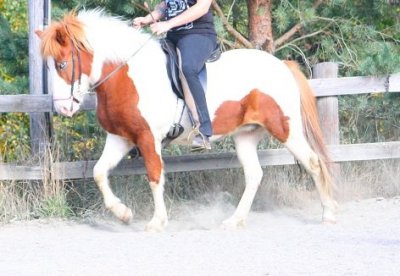 img-1788g.jpg img-1788g.jpg