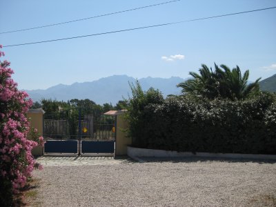 haie-montagne.jpg