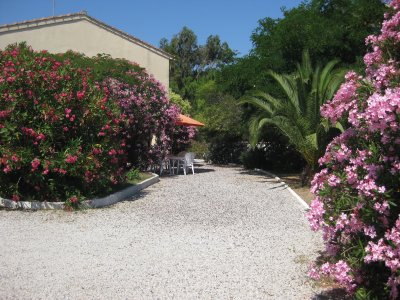 maison2.jpg