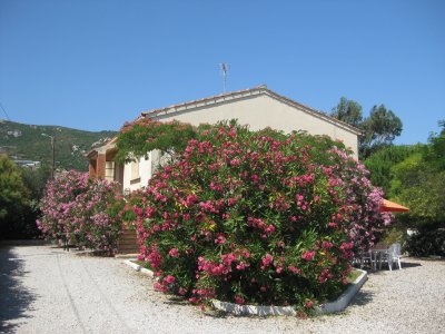 maison4.jpg