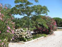 jardin-1.jpg