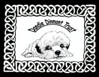 /dandie-dinmont-trust.jpg