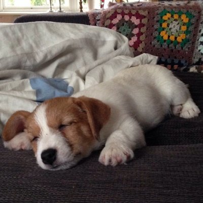 /billy-sover.jpg