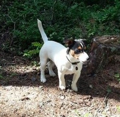 Foto: Mamman saappaat on parempi nukkumapaikka kun oma peti :)