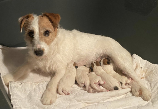 /fam-foto-1-juni.jpg