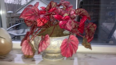 201111052891.jpg