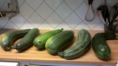 20110807154.jpg