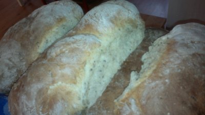 20110614066.jpg