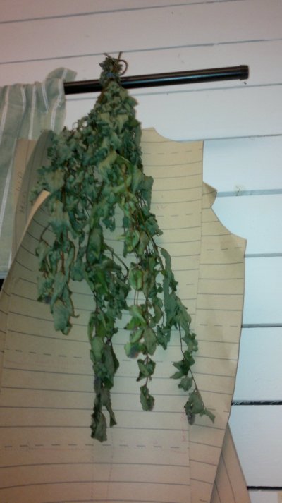 201109141901.jpg